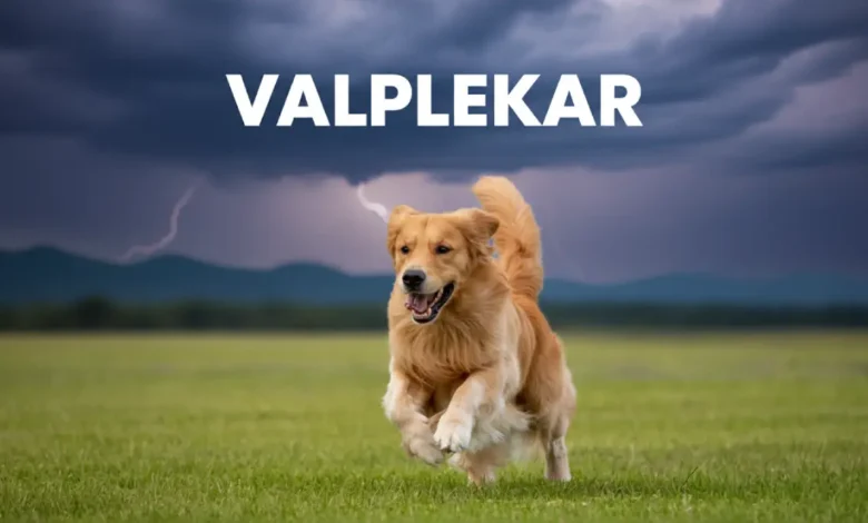 Valplekar: Captured the Essence of His Era